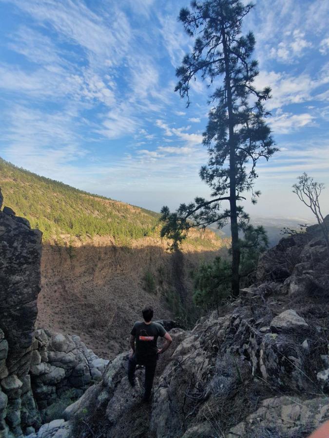 Casa Abuela Mina Villa Arico Dış mekan fotoğraf